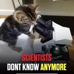 luseemeow's tweet photo. https://t.co/XnoplpowZ3