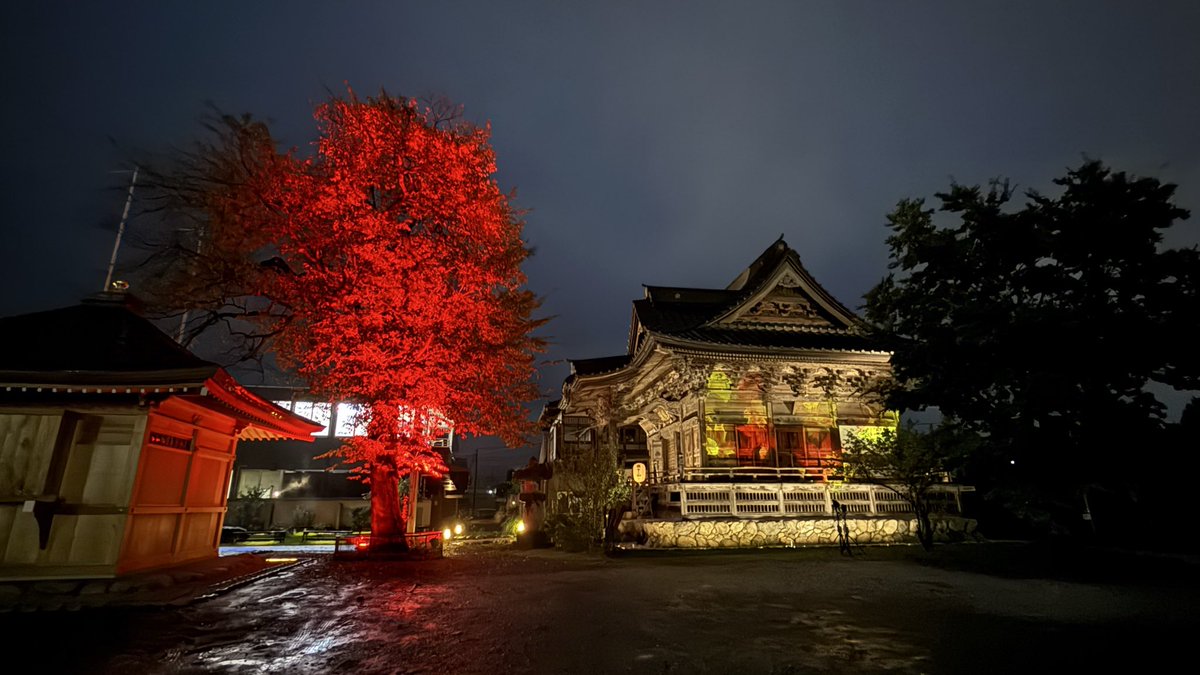 chichibu_info's tweet photo. 秩父夜街 彩さんぽ 2026秋 🍂 https://t.co/p9WRHteQmH