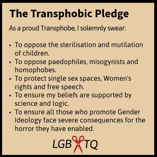 JulieMurph14125's tweet photo. 'Transphobe' is not an insult. Be proud that you stood up against a sinister, truth denying, toxic ideology. https://t.co/wlpifpYQ8W