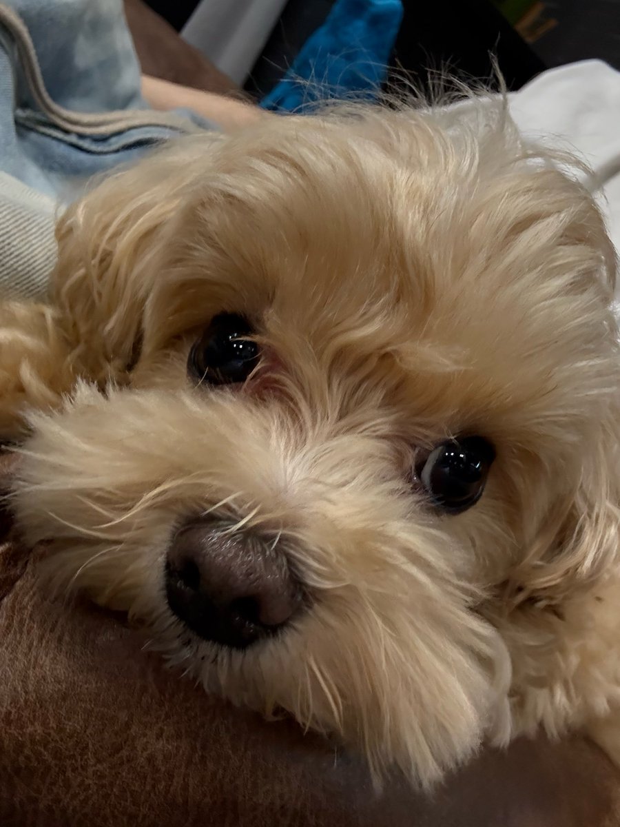 n3ng8I7's tweet photo. 🥺🥺🥺🥺🥺🥺🥺🥺🥺🥺🥺🥺🥺🥺🥺🥺🥺🥺🥺🥺🥺🥺🥺🥺🥺🥺🥺🥺🥺🥺🥺🥺🥺🥺🥺🥺🥺🥺🥺🥺🥺 https://t.co/G0lHhvtlyz