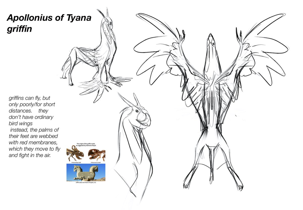 cyviarvuk's tweet photo. Trying to recreate griffin from description  and what they may have found as a “gryphon skull” 

and came up with some silly flying squirrel  thing https://t.co/TlkkkMmLNF