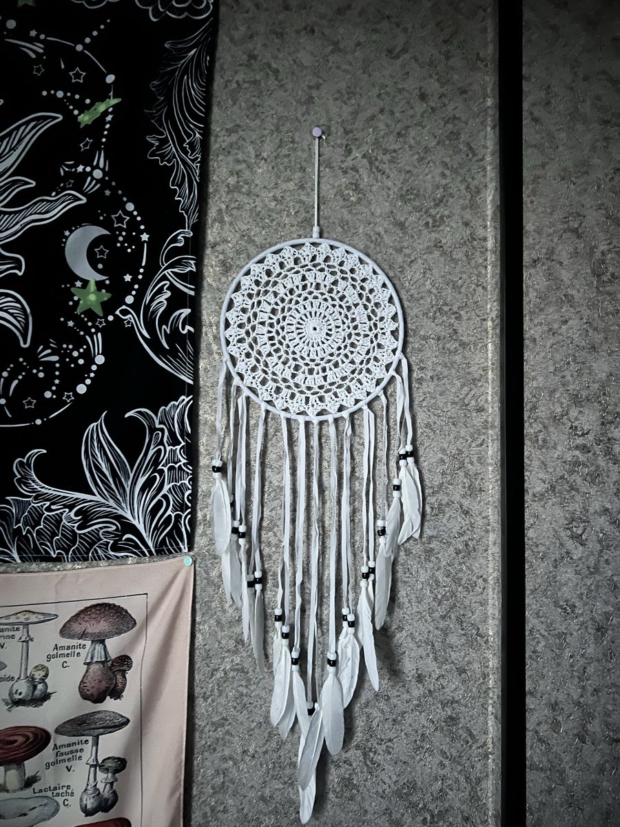 zhaoozi's tweet photo. Купила сегодня ловец снов, надеюсь что теперь будут хорошие ночи https://t.co/AnDCFPHdYj