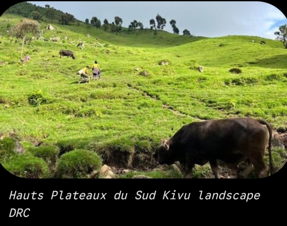 BMatumona28439's tweet photo. 🔴 🔴#URGENT🔴🔴: #Mushojo, #Masango et #Magunda (Hauts Plateaux du Sud-Kivu, territoire de Mwenga/Uvira) seraient tombées aux mains de l’#AFC_M23 après le repli de #FARDC et Alliés.
Des sources rapportent aussi l’implication des forces #Tanzaniennes dans les combats. https://t.co/CgIACjYVAG