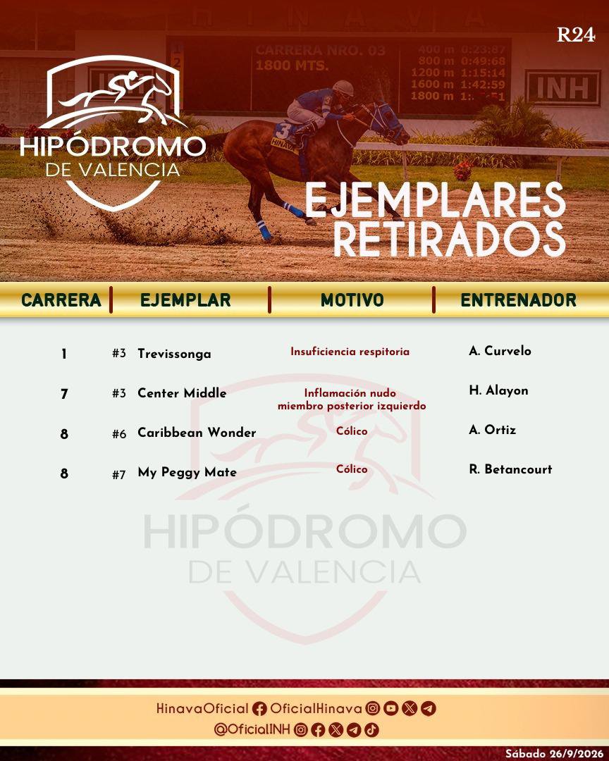 OficialHinava's tweet photo. #RetiradosHinava💉

➡️ Presentamos los ejemplares retirados oficiales hasta el momento para la R24 este sábado 26 de septiembre en el Hipódromo Nacional de Valencia. 

#Hipismo 🏇 https://t.co/0K8c3ra34W