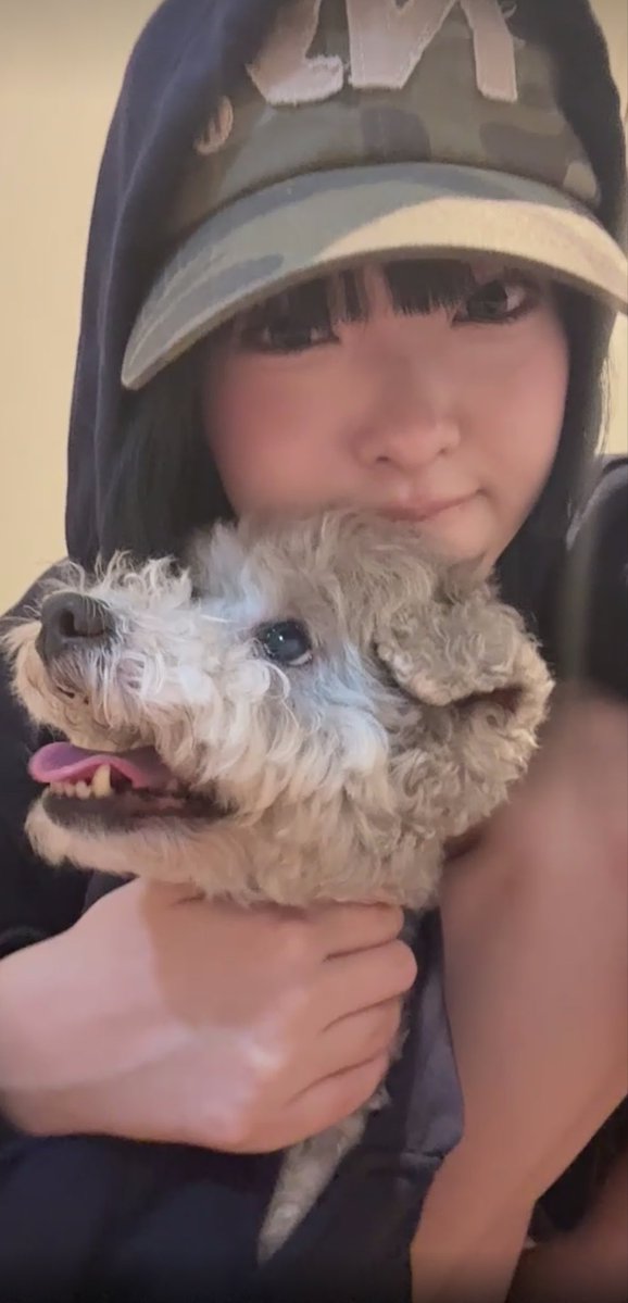 yodonsss's tweet photo. かわいすぎたな https://t.co/DbkyxFaZ8A