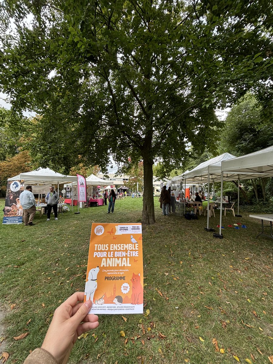 ToutpourLille's tweet photo. 6e édition de « Tous ensemble pour le bien-être animal » à la ferme Marcel Dhénin de #Lille ! Stands &amp; animations pour la protection animale, en présence de @standendievel1 @Martin_davidb, Manon Barges et @aneth_hembert 
👏 aux associations &amp; services mobilisés ! https://t.co/3Qf71R8dZ4
