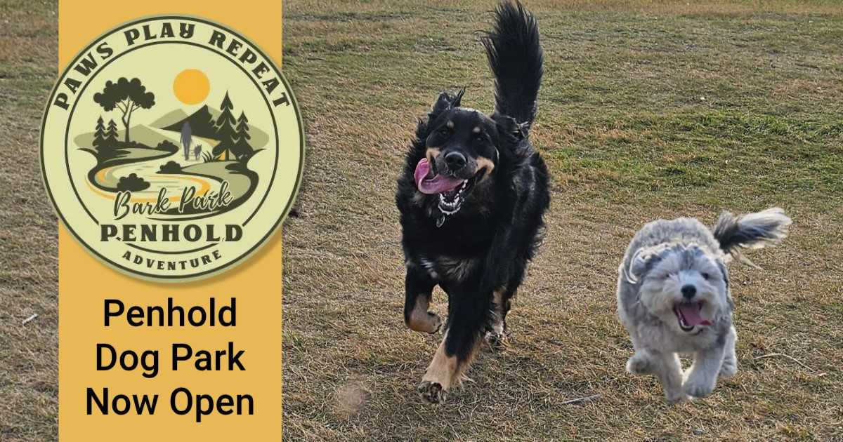 rdnewsNOW's tweet photo. Penhold’s new dog park is now open https://t.co/PvMIKxVbko https://t.co/vz25luJ1SK