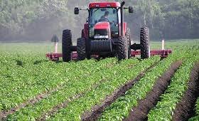 GGnymtina's tweet photo. En 5 ans, plus de 500 tracteurs et 180 motoculteurs ont été mis à disposition et 2 centres de mécanisation ont été construits, des variétés agricoles ont été développées, 784 conseillers et techniciens ont été déployés et 10.600 coopératives accompagnées...
#AgricultureTogolaise https://t.co/ugI6ulRk2t
