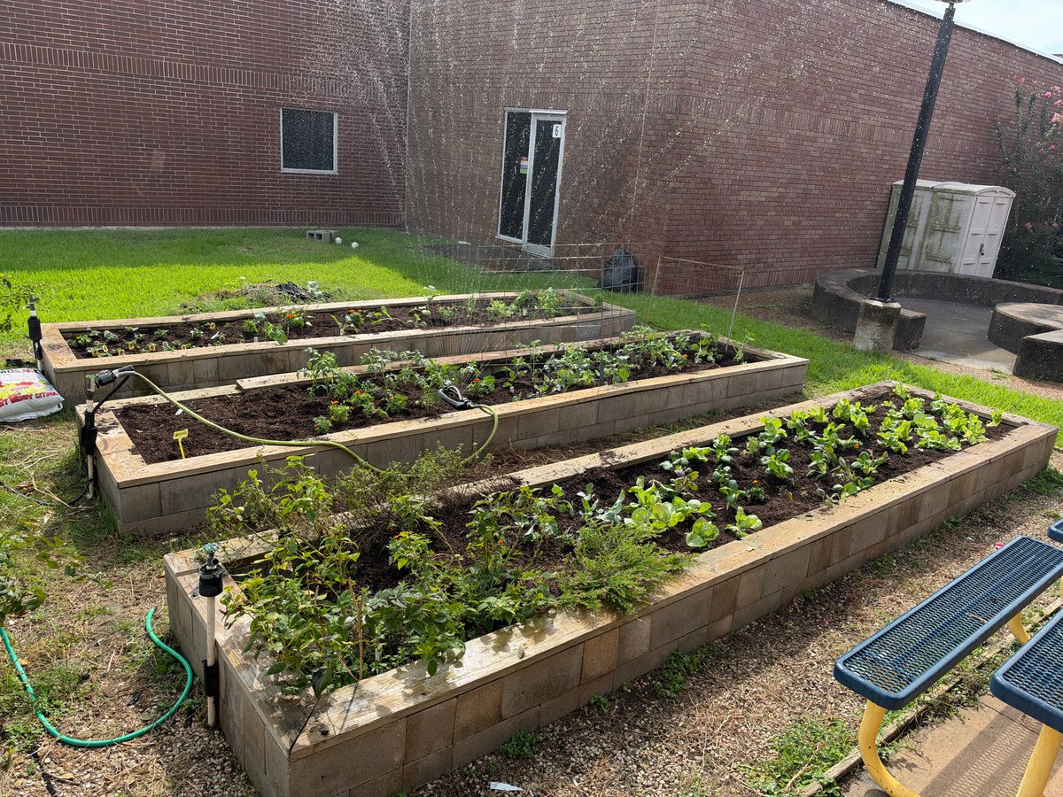 alief_middle's tweet photo. 🌱 The AMS ECHO Garden is off to a great start for the 2026–27 school year! We’re growing, learning, and cultivating opportunities for our students to thrive. 🌿💚 #AMSPride #ECHOGarden #HereWeGrowAgain https://t.co/G75zXSoNP4