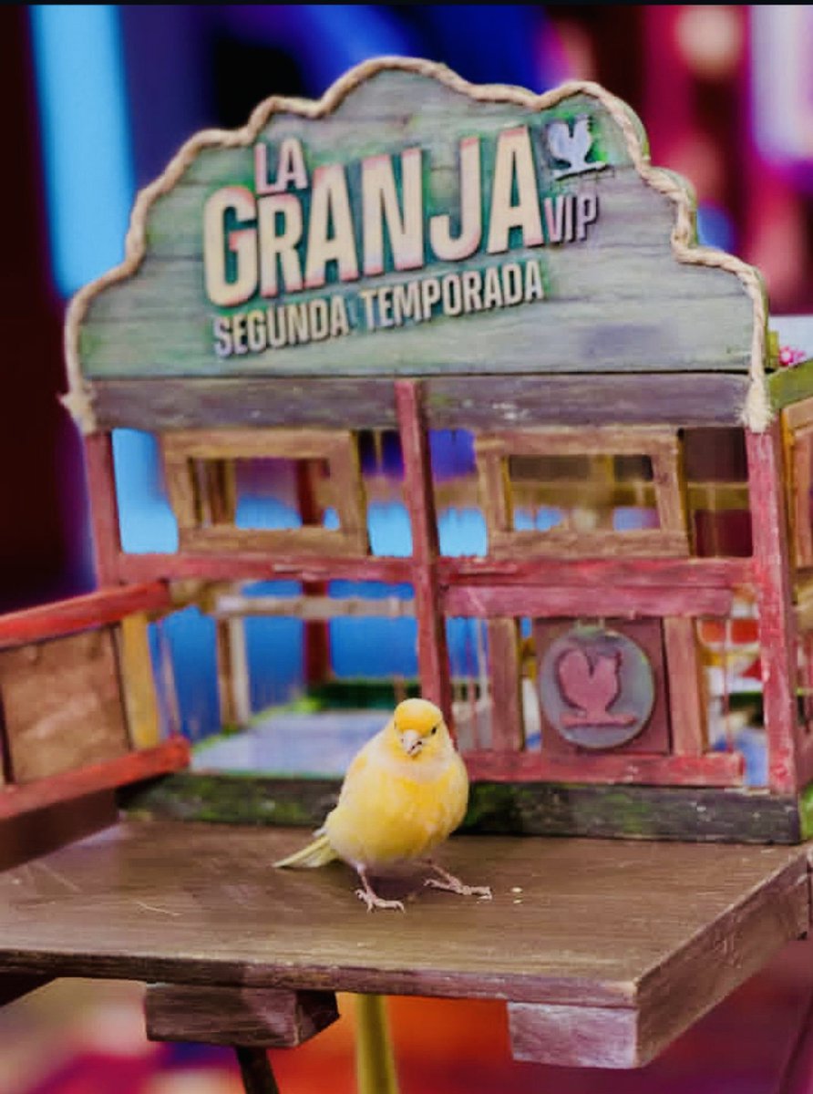 ale_vgn's tweet photo. Copete van contra ti mi amor

#LaGranjaVPMX
#LaGranjaVIPMX https://t.co/Ff6bcoJsoh