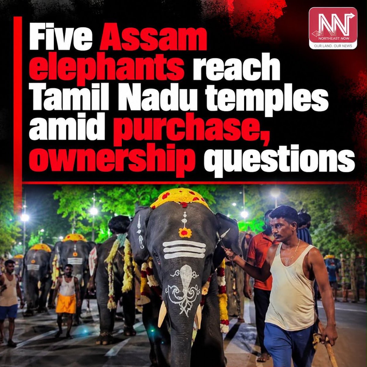 KanyaaKaushik's tweet photo. Five elephants. Five ownership histories. Five microchip records.
If everything is in order, why not simply publish and independently verify the complete records?
Ownership Certificates, DNA, parentage, microchips and transfer history should tell the same story.
#VerifyTheFive https://t.co/WK3InRjhgZ