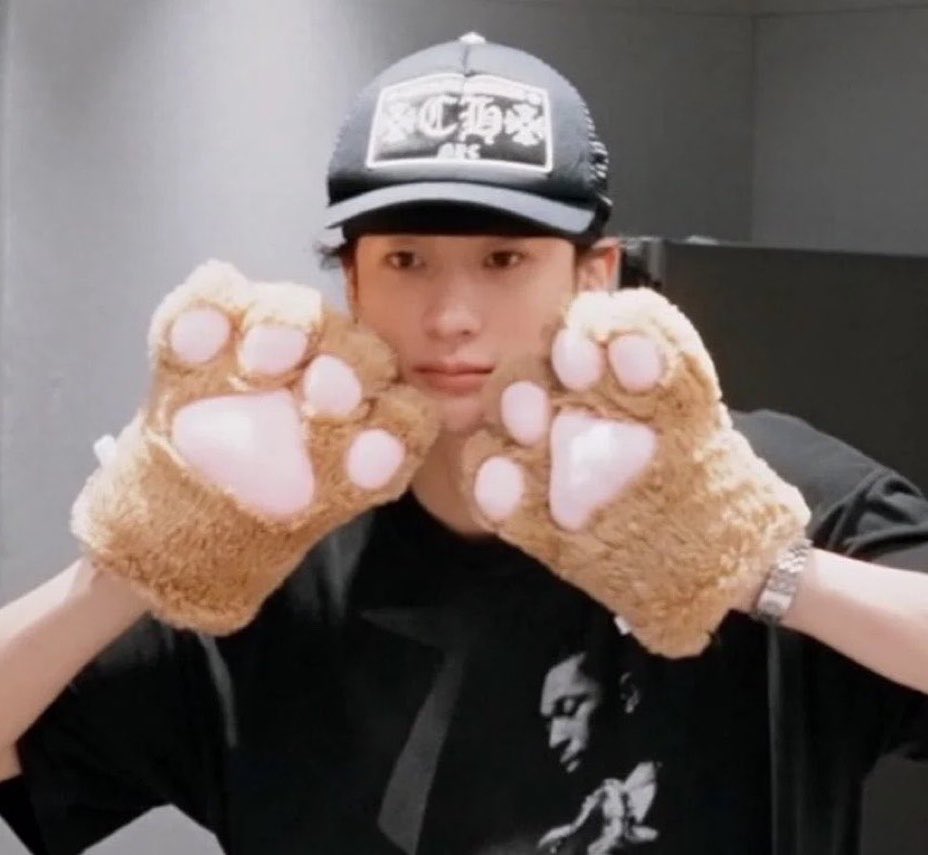 ttonbrz's tweet photo. 이상하다… 아무리 봐도 강쥐인데? https://t.co/7rrUBGHDGS