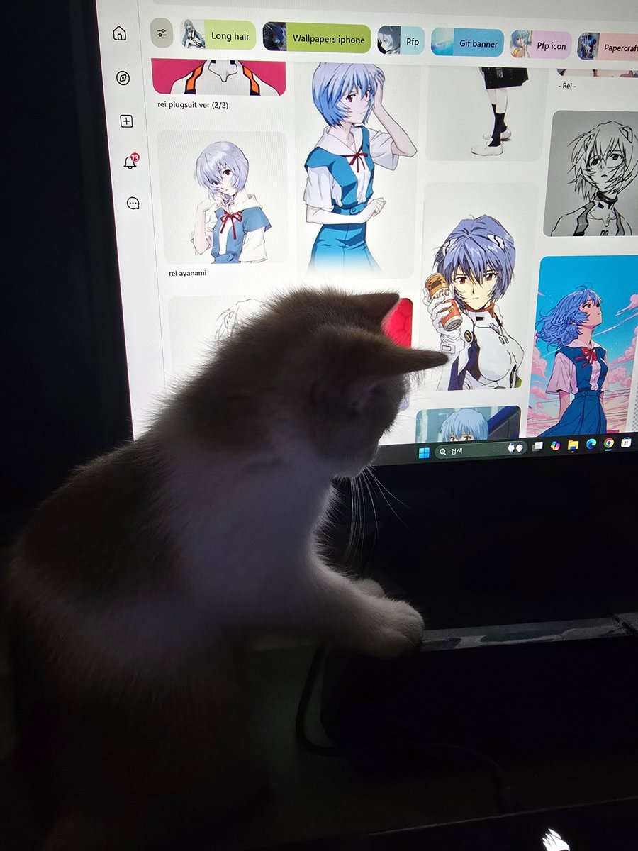 MK429301's tweet photo. 아야나미냥 https://t.co/QAmbWn0hgJ
