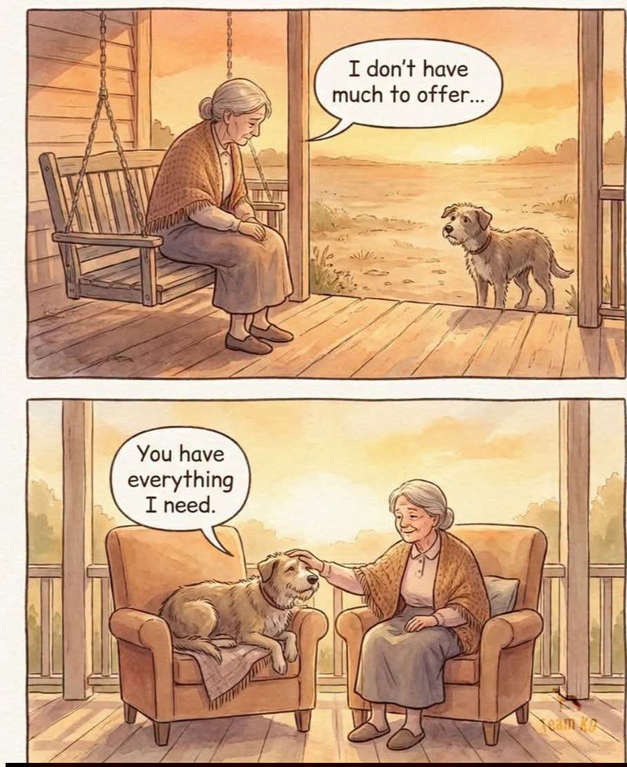 petpopular's tweet photo. https://t.co/9FSjdOpnsd
