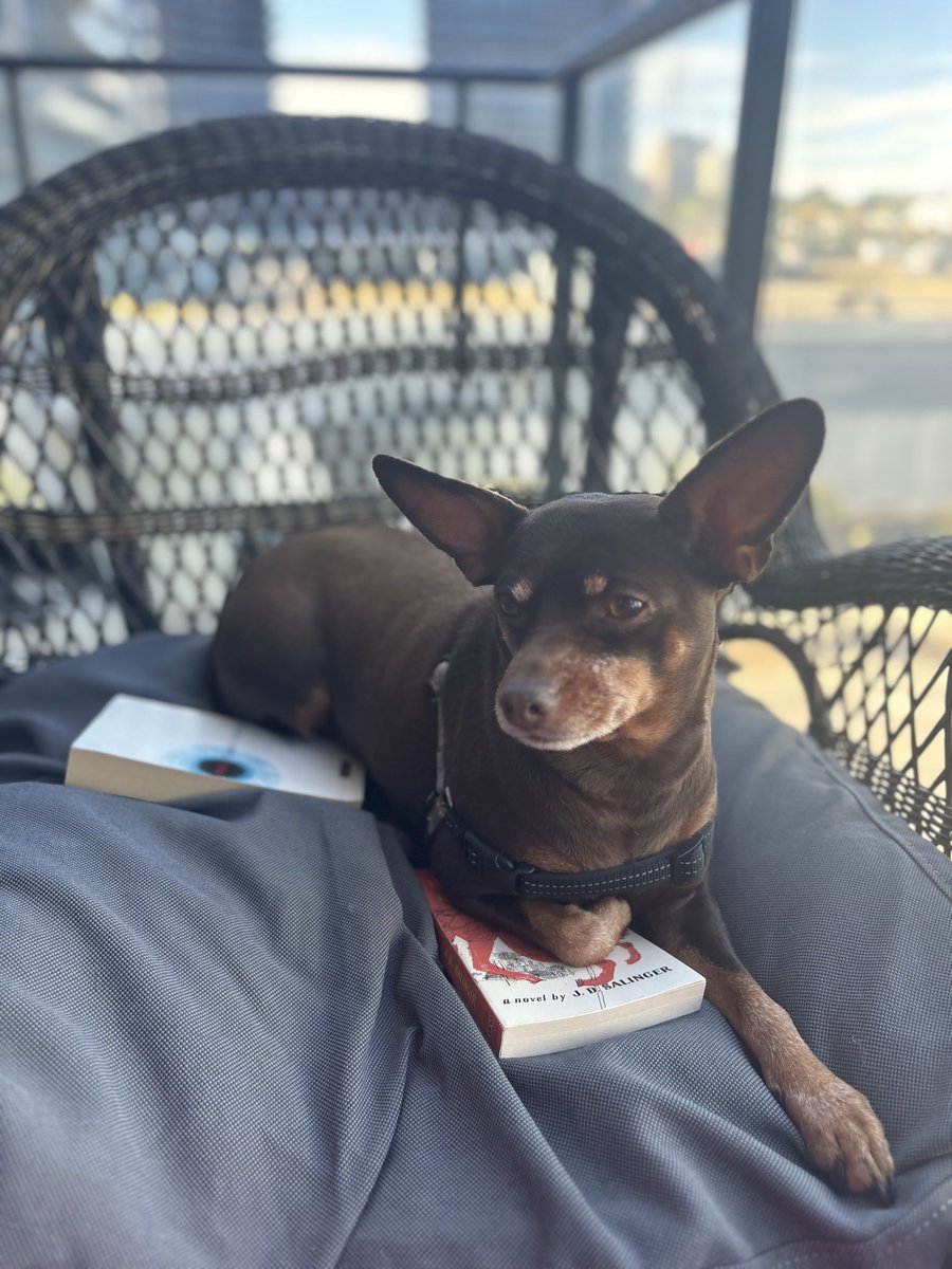FastingFake's tweet photo. He can’t read 

Pretends like LeBron

🍒𝕏[CHIRPBIRDICON]#BlackTwitter 𝕏[CHIRPBIRDICON]🍒

🕊️𝕏[CHIRPBIRDICON]#TwitterForGood 𝕏[CHIRPBIRDICON]🕊️ https://t.co/7NqQy6B85I