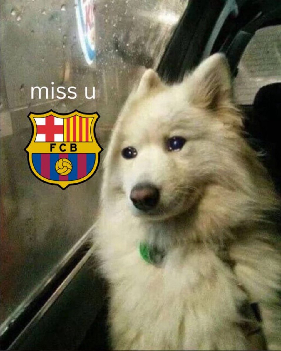 Nocontext_FCB's tweet photo. https://t.co/mMqFJD41PY