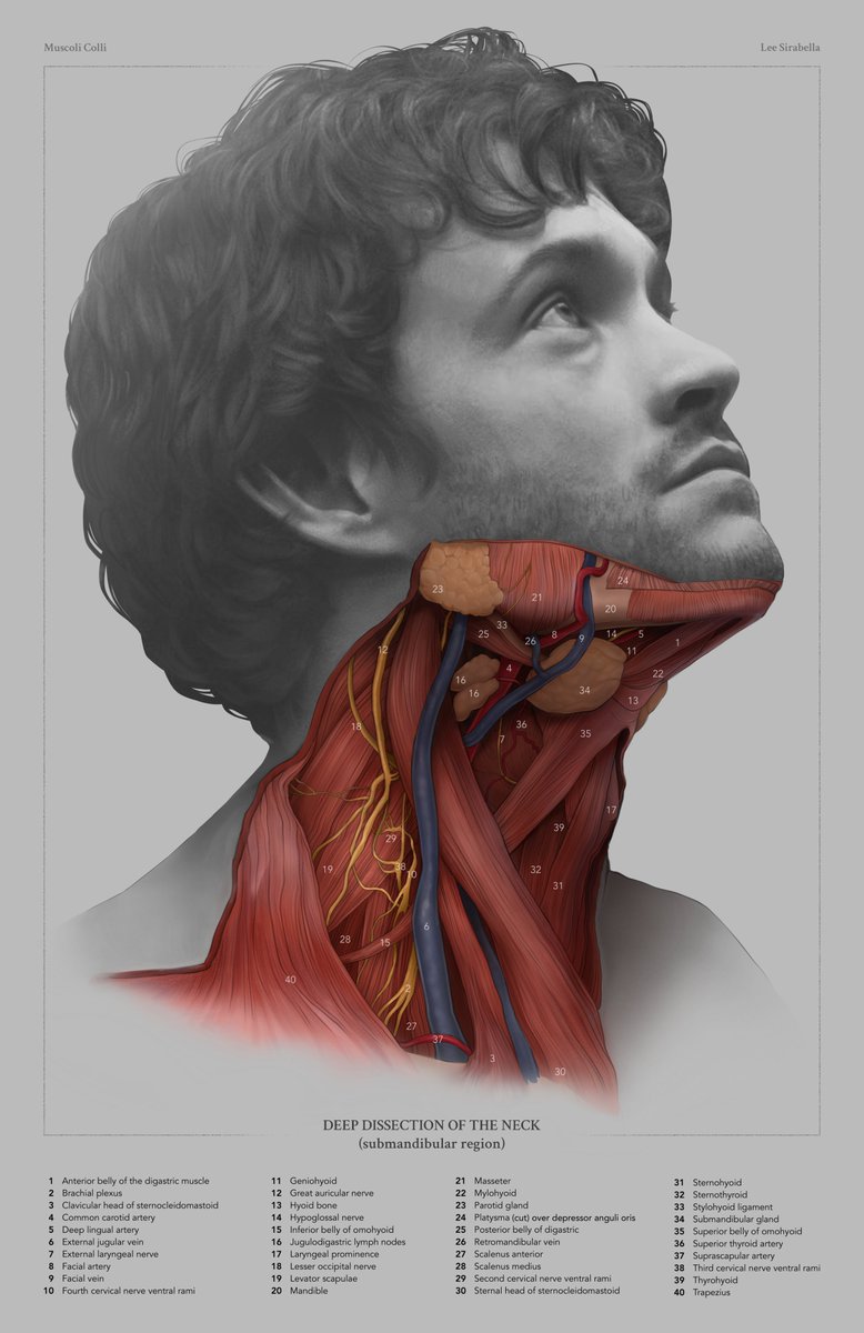 loathsomecowboy's tweet photo. type of shit Hannibal Lecter would be drawing while the FBI wondered who could possibly be the Chesapeake Ripper
NOT AI❌ https://t.co/naRqDBMtR3