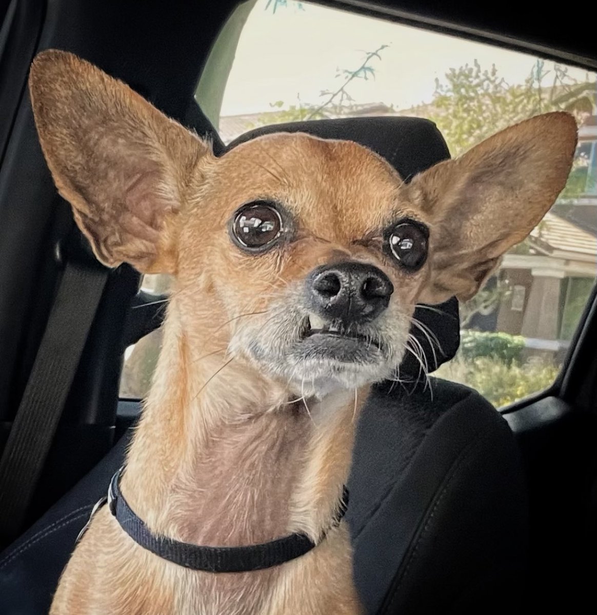 XploreFoto's tweet photo. @MikeBales Marshall approves this message! https://t.co/y7xntrHMqv