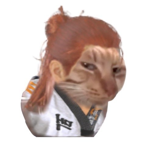 KoreanHawk's tweet photo. He is judging 𝘺𝘰𝘶. https://t.co/zeeyJVK6vh