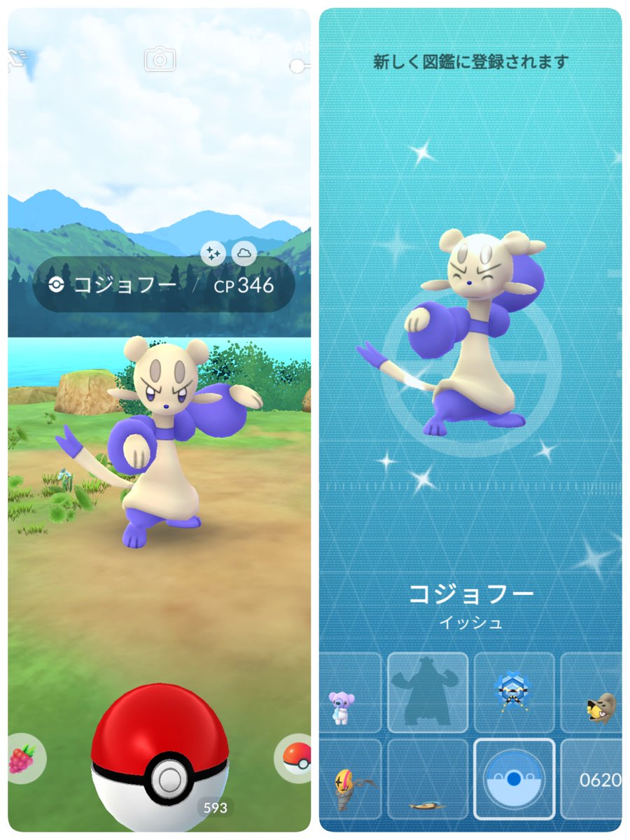 pq_Mine's tweet photo. ポケ活してたら色違いのコジョフー出た。図鑑登録可愛い。
もう1匹捕まえたら進化させたい。
#ポケモンGO https://t.co/39etbv5T7N