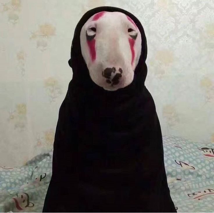 Tamagoscrambles's tweet photo. @_MiuMiau Frankenweenie or No Face Spirit dog! 🫣🫣 https://t.co/wxhkODRBYG