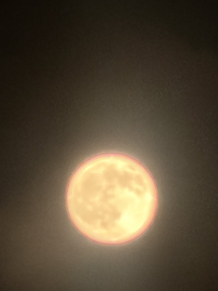 evilscenery's tweet photo. Mano ou eu N SEI usar meu celular ou sei la vey. 

Primeira foto minha (Iphone 17pro)
Segunda meu marido (S26 Ultra)
Terceira minha cunhada (Huawei) https://t.co/ljx4INaK9Y