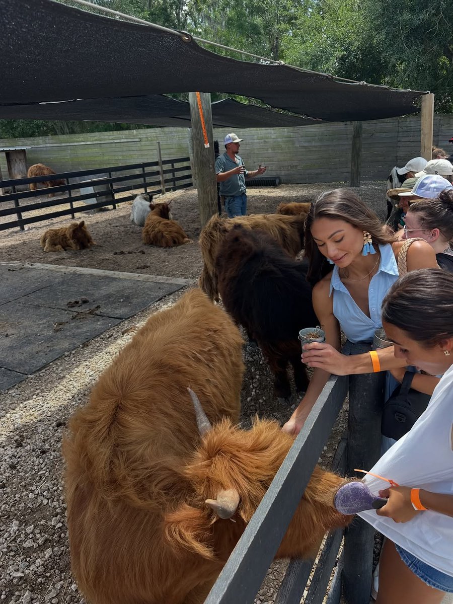 janetlayugo7mq's tweet photo. I want a farm 🐮

[Last pic may have changed my mind] 😅 https://t.co/DpEBAtrQ55