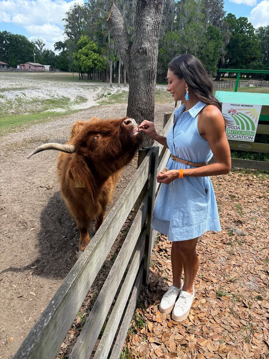 janetlayugo7mq's tweet photo. I want a farm 🐮

[Last pic may have changed my mind] 😅 https://t.co/DpEBAtrQ55