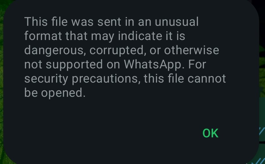 Silly25655426's tweet photo. @Meta @WhatsApp your this shitty implementation is not letting me access the secure file. Not even lettinge download it. 

WTF dumb asses? https://t.co/3OM5inSmfE