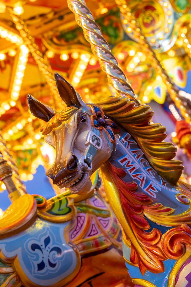 nottm_events's tweet photo. #GooseFair is now open at the Forest! 🪿

There will be a SEND session on Sun 27 Sep (12pm-1pm) with reduced music, sound &amp; lighting 🎡

⚠️ Due to industrial action there is no tram service this weekend (Sat &amp; Sun), see alternative travel options here ➡️ https://t.co/4dePOrkQgh https://t.co/pKwt2pSplw