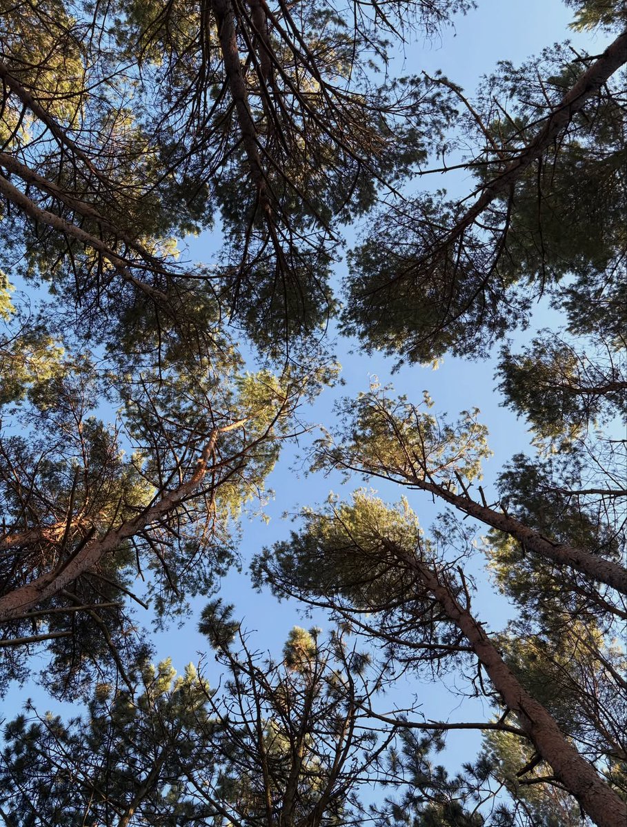 audreymitccasj's tweet photo. Holiday Dump 🌊

Międzyzdroje, Ustronie Morskie, Mrzeżyno, Kołobrzeg, Mielno… quite a list. 😆

Today, there’s a concert in Kołobrzeg and more plans ahead. I love my eyes at sunset, when they change from brown to the color of sea amber. Have a https://t.co/iXYtv4XkgK