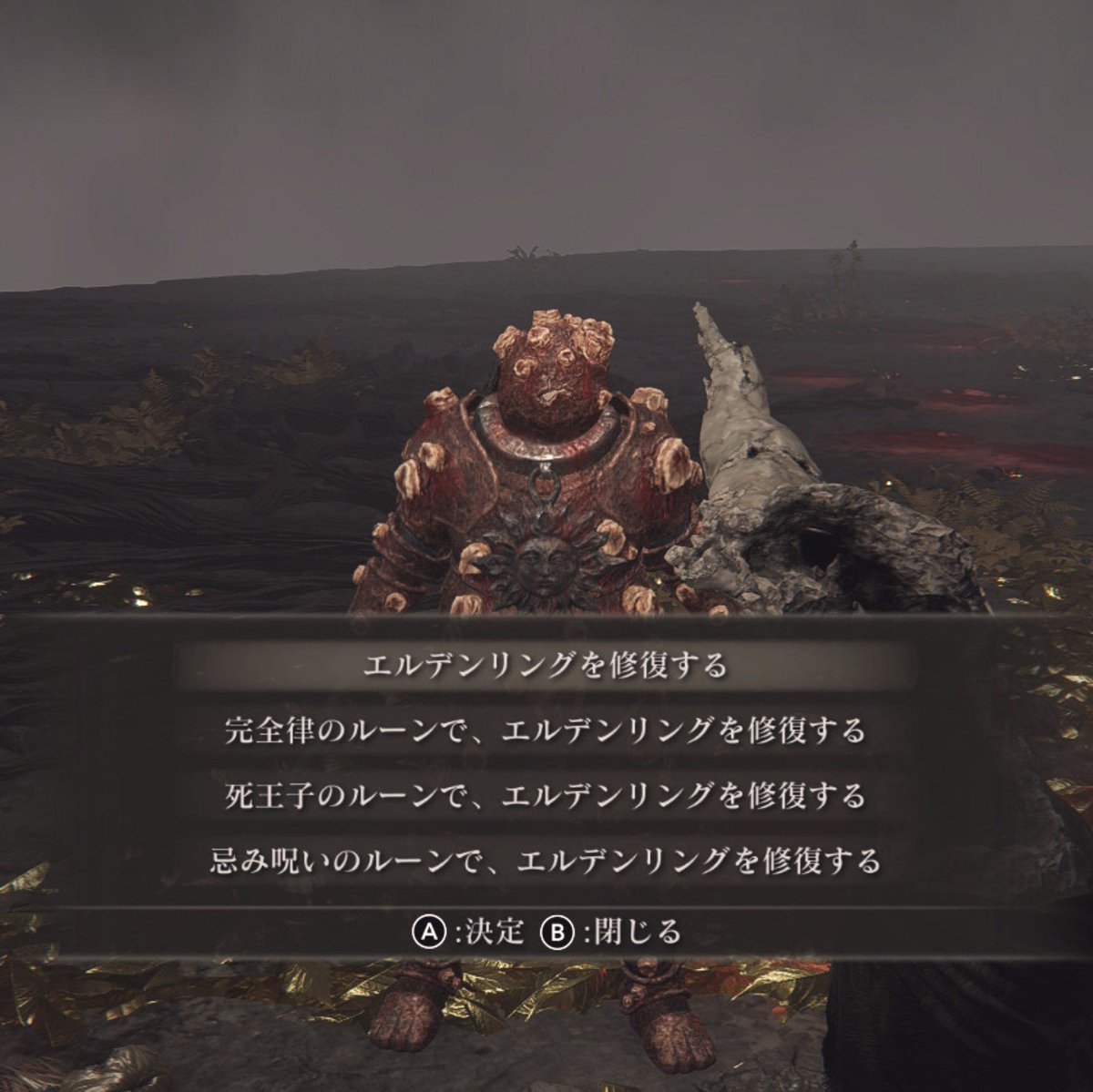 mari_eldenring's tweet photo. どのルーンにしよっかな～～～ https://t.co/oeDRPGQMwO