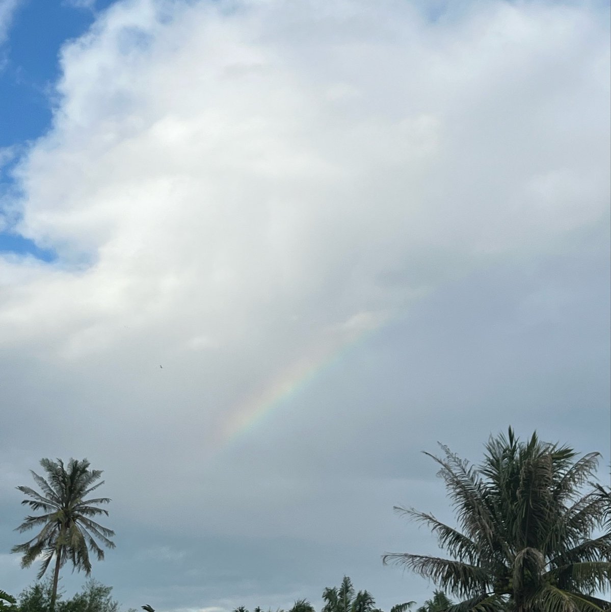 JanieFossey's tweet photo. https://t.co/lMEi2QfGq5