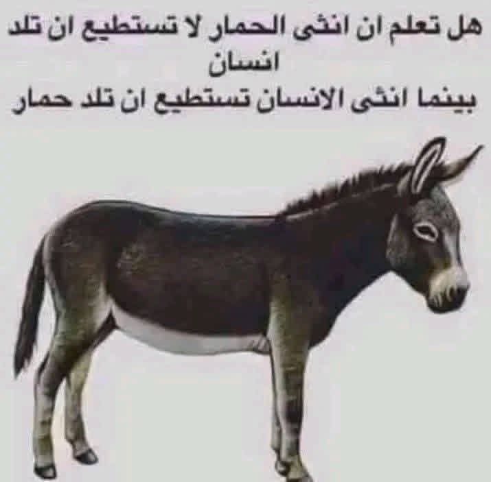 EssamAn72610195's tweet photo. @ElsharqTV https://t.co/gq0xphA8W8