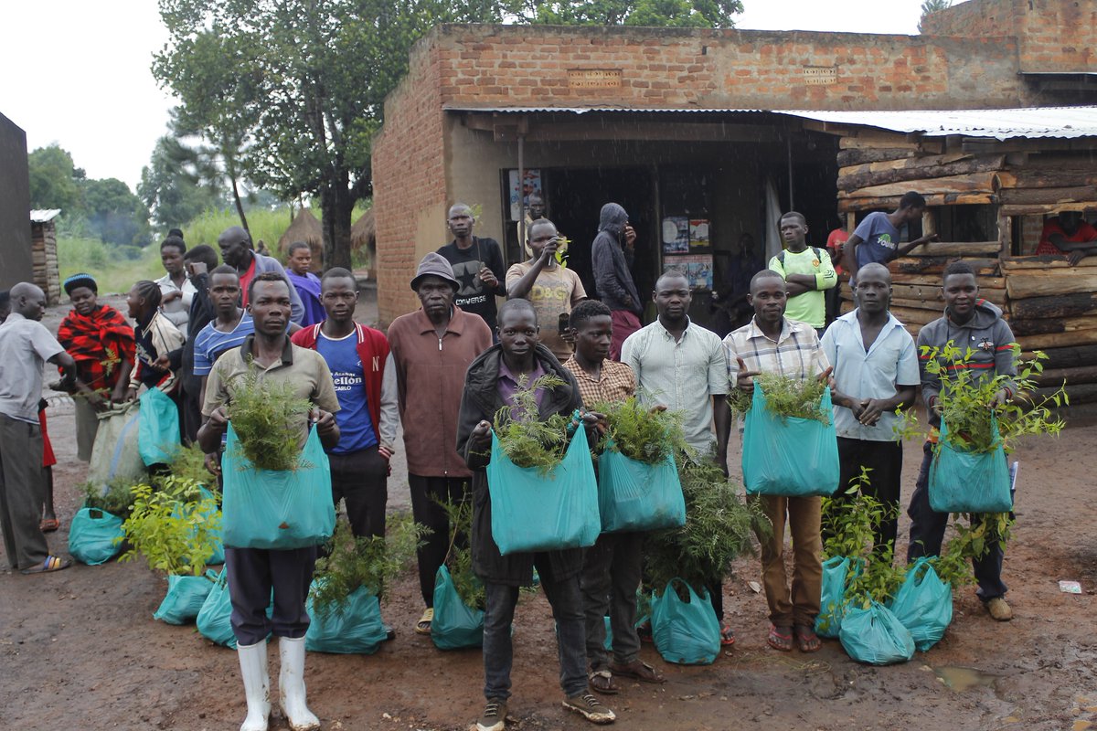 ugandanist's tweet photo. @cpmayiga WORLD TOURISM DAY, TREES FOR TOURISM PLANTING, visit at https://t.co/FHPueSJSvq. 

Trees For Tourism Project, kindly visit https://t.co/y2Leyf8KCW OR https://t.co/dsXEiNJyTc

Budongo https://t.co/dsXEiNJyTc

ACTIVITY PHOTOS AT https://t.co/i1R3FaeukF AND https://t.co/VF7jKD3Pkv https://t.co/Ll8mYg5DV6