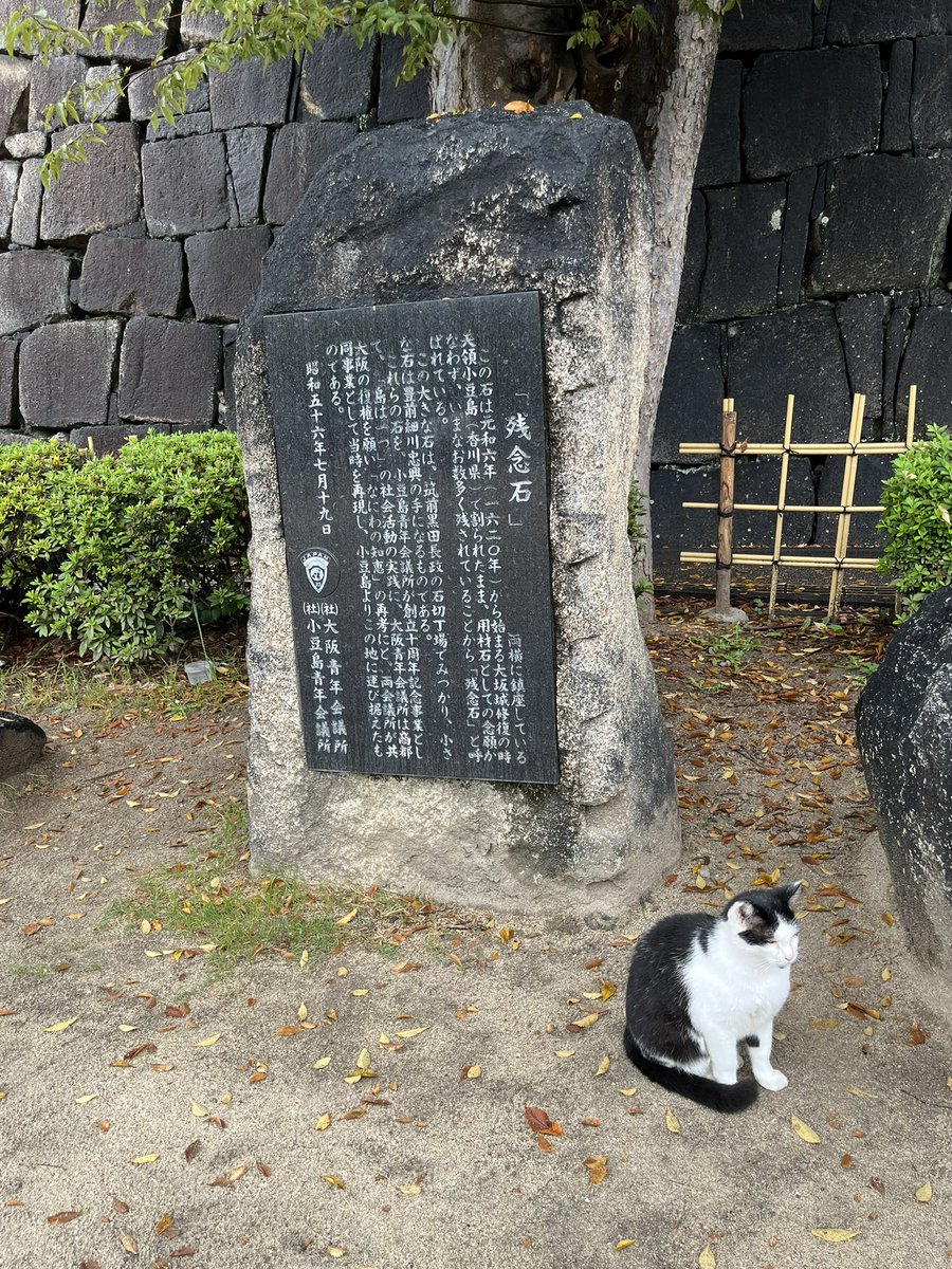 0714runakawa's tweet photo. 大阪城に行ってきました😊
歴史について勉強できたし楽しかったです🎶 https://t.co/4ojapJLq7j