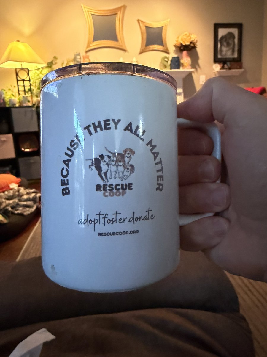danstewart13's tweet photo. Saturday Morning ☕️ w/ @LolaPatolla &amp; @RescueCoop. This week the Coop saves 4 hounds. Please donate if you can, these pups will all need vet care. Beagles are near &amp; dear to lots of us. It takes a patient person to understand the breed. Sadly many people give up &amp; dump them. https://t.co/JuwxLJh72F