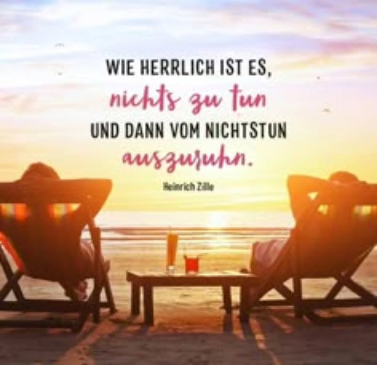 TrangFiliobp's tweet photo. صورة من lachtaube1932 بتاريخ 1 سبتمبر 2026. قد تكون لصورة نص يقول: «ما أروع ألا تفعل شيئًا، ثم تستريح من عدم فعل شيء. » بيتر هيلر. https://t.co/xFyEGXvi0l