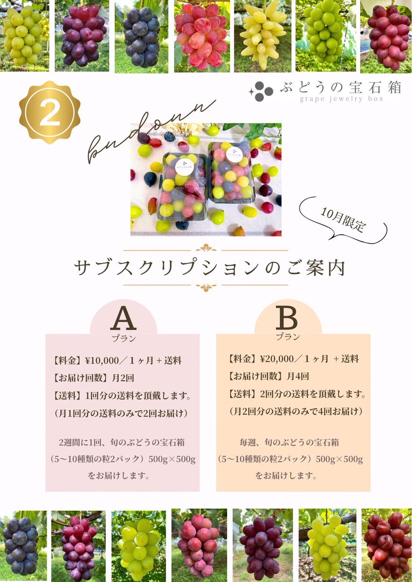 2100housekibako's tweet photo. 2026年初物
【１３種類入りの旬のぶどうの宝石箱】
通常販売開始‼️
　
第386回プレゼントキャンペーンをＸ＆Instagramで同時開催します⭐️

🍇応募方法🍇
フォロー＆
このポストをリポスト
〆切は２7日
日曜日２４時まで

【初物 旬のぶどうの宝石箱　 １ｋｇ】
５５５５円相当を

Ｘ２名Instagram２名の合わせて
４名様に
完全無料でプレゼント🎁✨

ぶどうの宝石箱Instagram➡️ https://t.co/LpPhEQCazX

【10月ぶどうの宝石箱サブスク】のご予約受付はぶどうの宝石箱LINE公式➡️ https://t.co/0f4CoowVsD

ぶどうの宝石箱が購入できるのは

ベイス➡️ https://t.co/dDpp9mrTfE

メルカリ➡️ https://t.co/SAyAlZC88Y