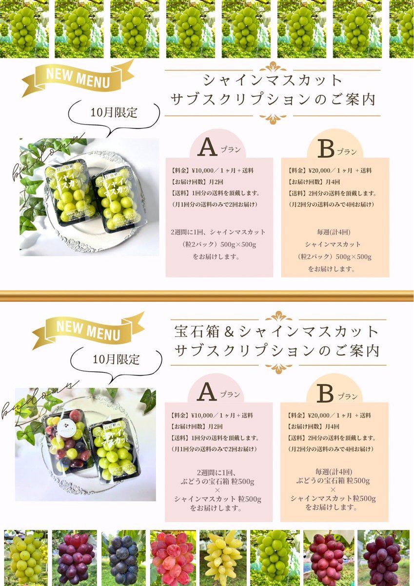 2100housekibako's tweet photo. 2026年初物
【１３種類入りの旬のぶどうの宝石箱】
通常販売開始‼️
　
第386回プレゼントキャンペーンをＸ＆Instagramで同時開催します⭐️

🍇応募方法🍇
フォロー＆
このポストをリポスト
〆切は２7日
日曜日２４時まで

【初物 旬のぶどうの宝石箱　 １ｋｇ】
５５５５円相当を

Ｘ２名Instagram２名の合わせて
４名様に
完全無料でプレゼント🎁✨

ぶどうの宝石箱Instagram➡️ https://t.co/LpPhEQCazX

【10月ぶどうの宝石箱サブスク】のご予約受付はぶどうの宝石箱LINE公式➡️ https://t.co/0f4CoowVsD

ぶどうの宝石箱が購入できるのは

ベイス➡️ https://t.co/dDpp9mrTfE

メルカリ➡️ https://t.co/SAyAlZC88Y