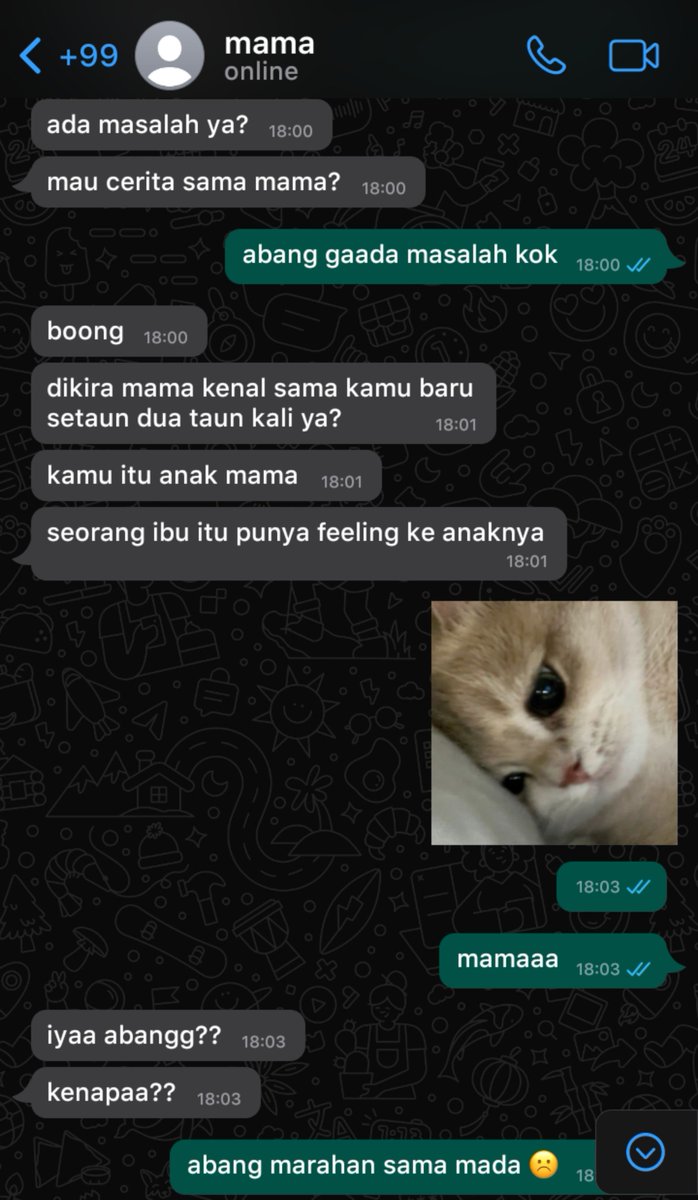 childdikaa's tweet photo. 08. (side profile kalo mamah kipeng bisa bijak juga, plengernya sesuai sikon) https://t.co/hEw4x2Y961