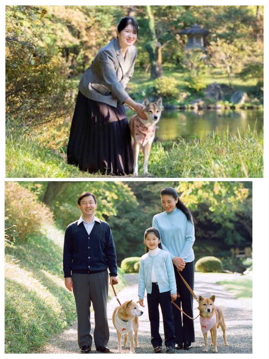 43H4LLg65tQNyEo's tweet photo. 国民だけでなく、すべての命へ寄り添う優しさ慈愛に心が洗われます。
#動物愛護フォーラム
#日本臨床獣医学フォーラム2026
#保護犬保護猫 https://t.co/VSuQl0kYZh
