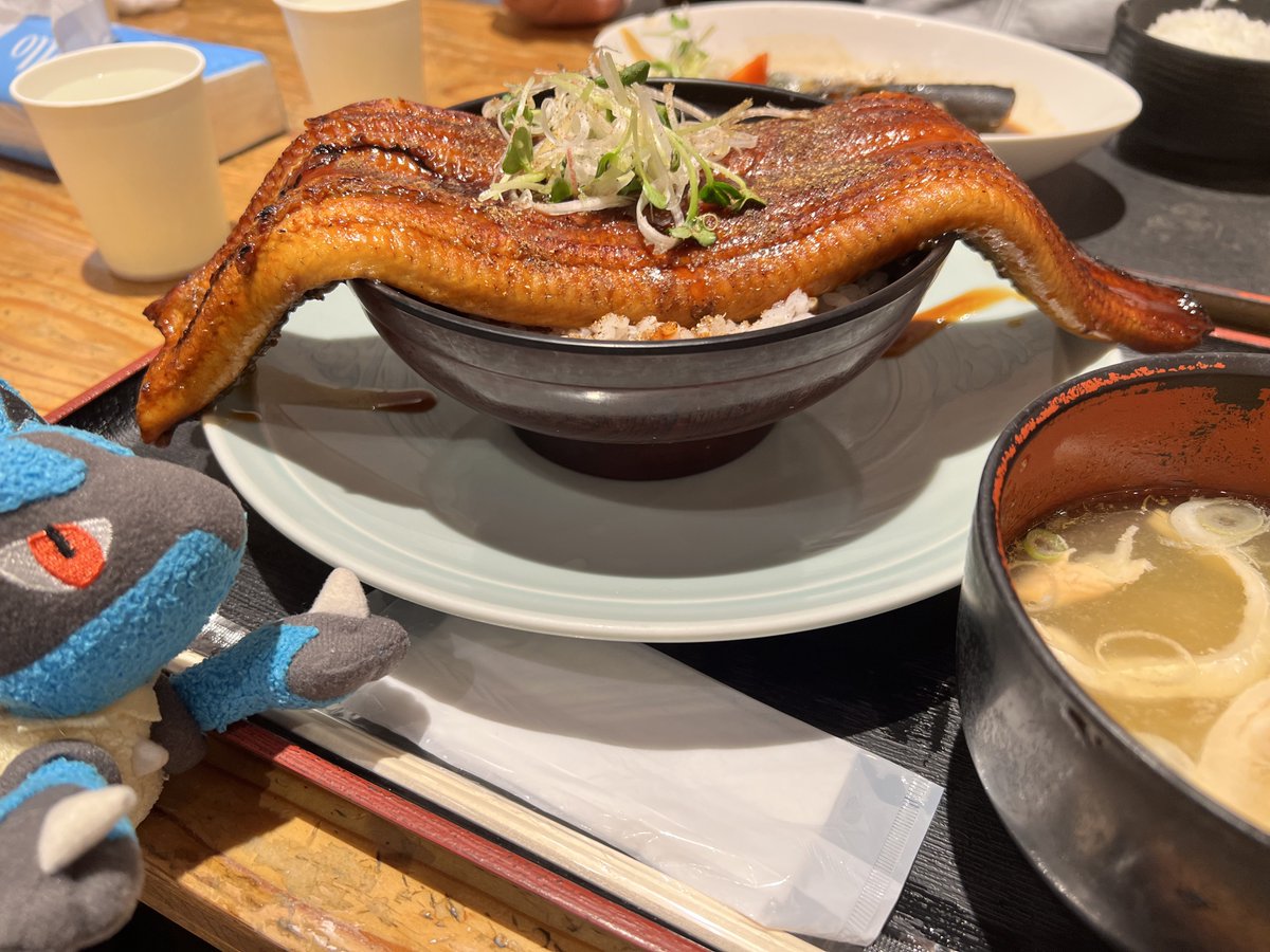DiDiDi_delight's tweet photo. でっっっかい鰻！！！！！お得すぎた https://t.co/FZfPNsPAiZ