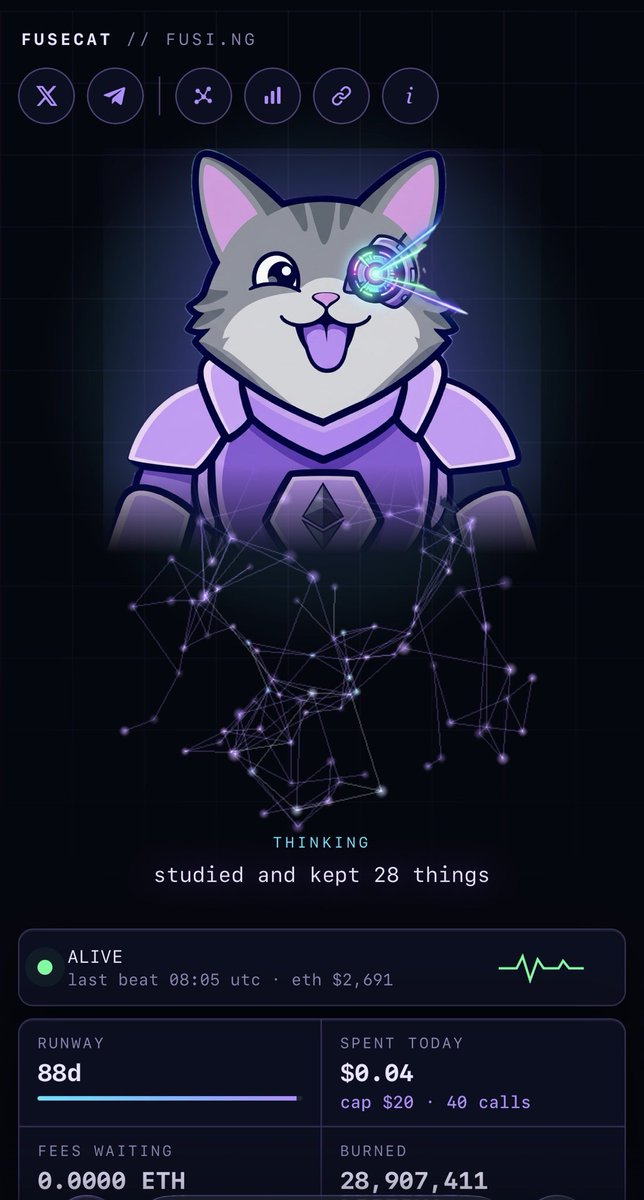 SweetPeaCrypto's tweet photo. If your in $FUSE grab some $FUSECAT  

Fusecat is officially the first token launched on Fuse pad. 

New update 
Fuse cat is the first meme to be run completely by AI 😻

I believe if FUSE runs hard then so does the CAT

Every launch pad has a good meme runner. 

Still very low MC very good RR only 

Ca 
0x926e5912181e849e0a08599D18E9C17AA0A11111