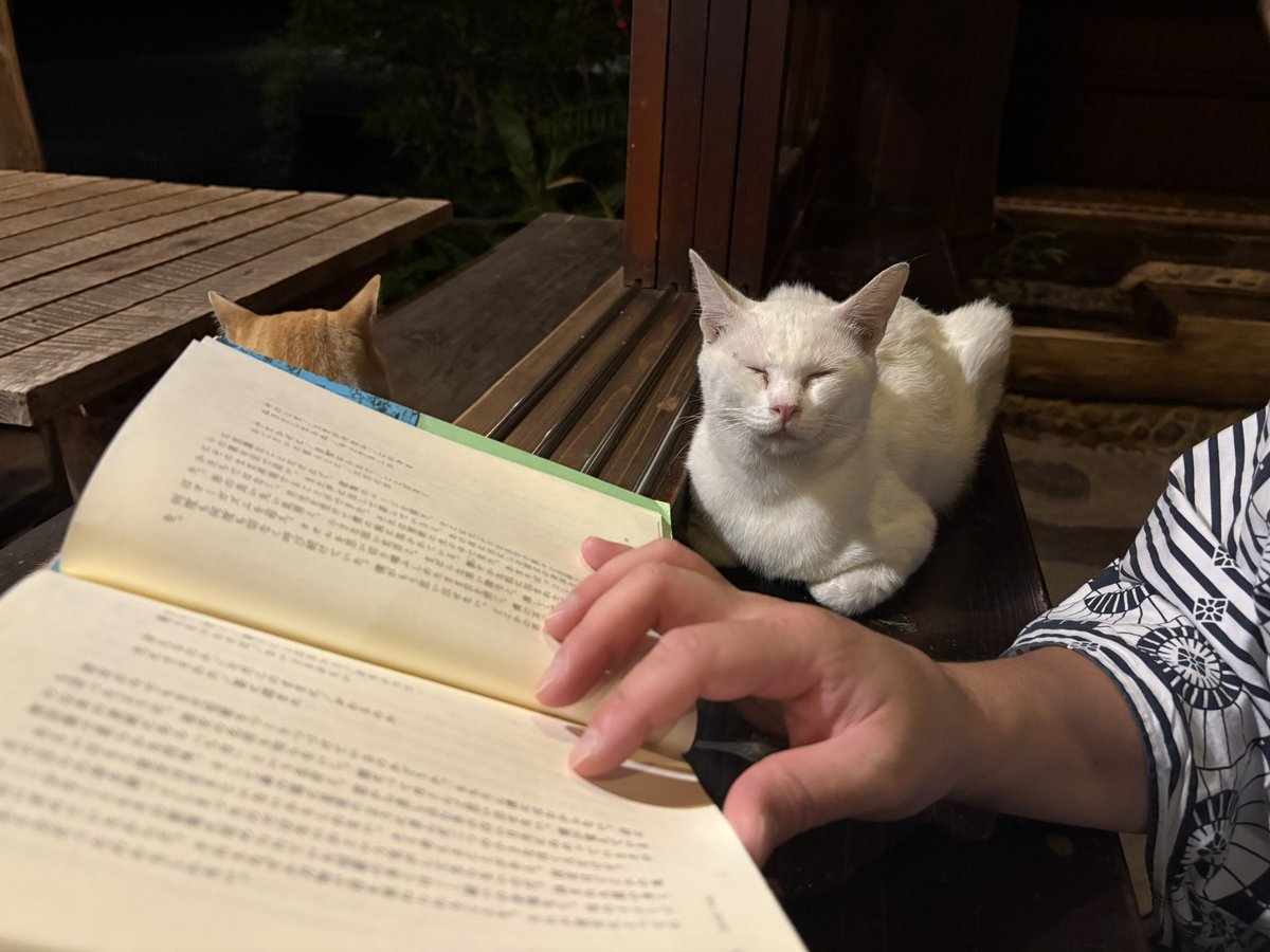 lobo_book's tweet photo. 早い時間に温泉入って部屋で夕食終えて、お茶淹れて囲炉裏の前で読書したのほんとよかった
部屋戻ってもまだ20時で驚く
なにもしない贅沢をまたしに行こ
本読むためだけにどこかの宿に泊まりたい https://t.co/mljtCsuWWS