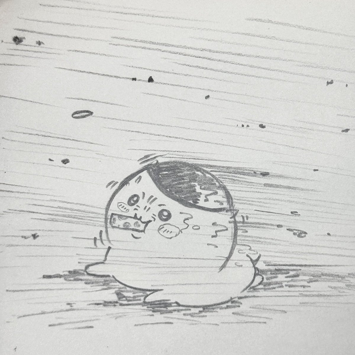 3559dai's tweet photo. 強風に耐えるくりまんじゅう https://t.co/QcYCtuCus7