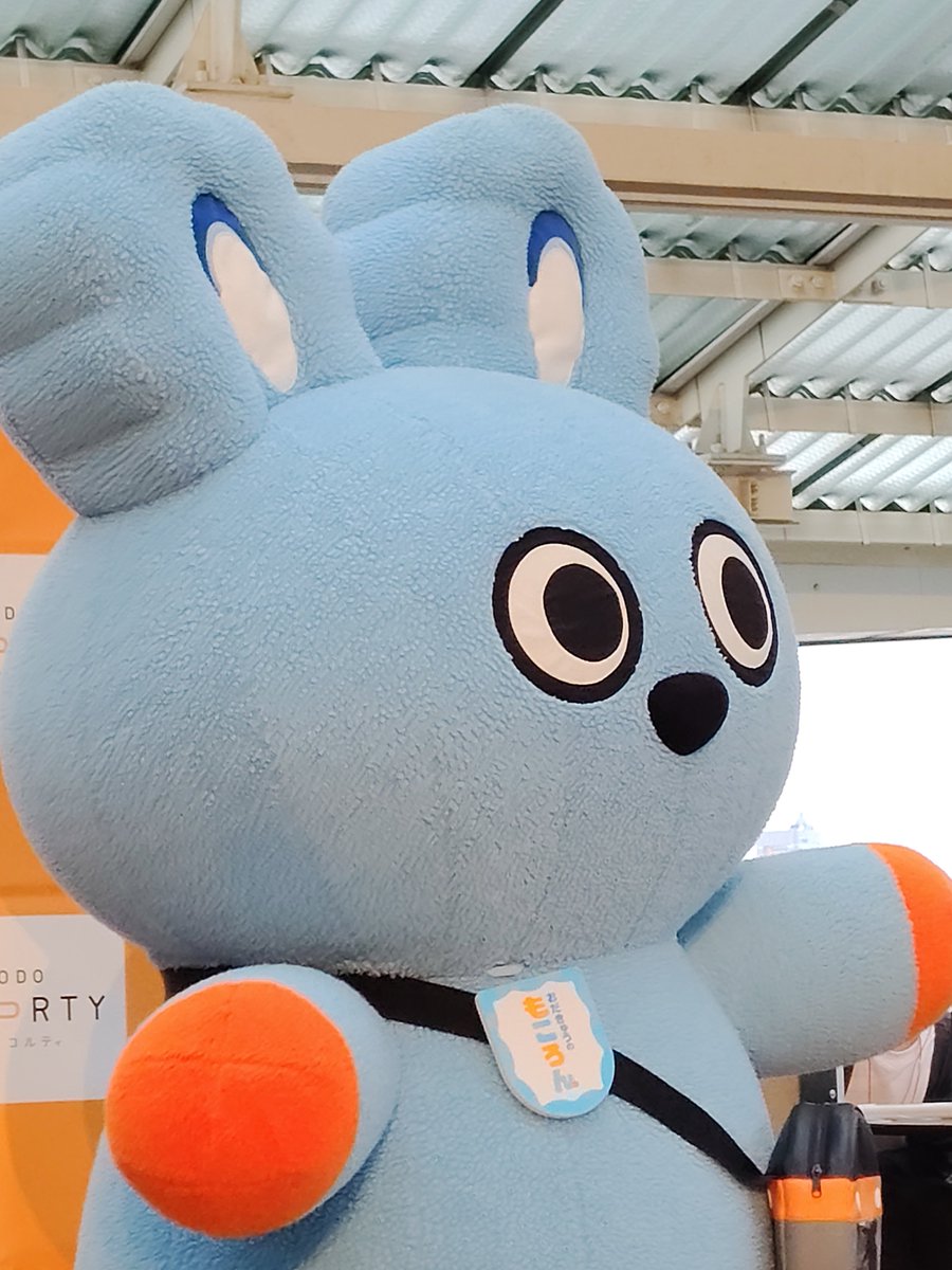 milkymintsheart's tweet photo. もちろんもこちゃんにもご対面。#世田谷鉄道フェスタ #もころん #一家に一匹もころんを #経堂コルティ https://t.co/vYCZSmnzOq