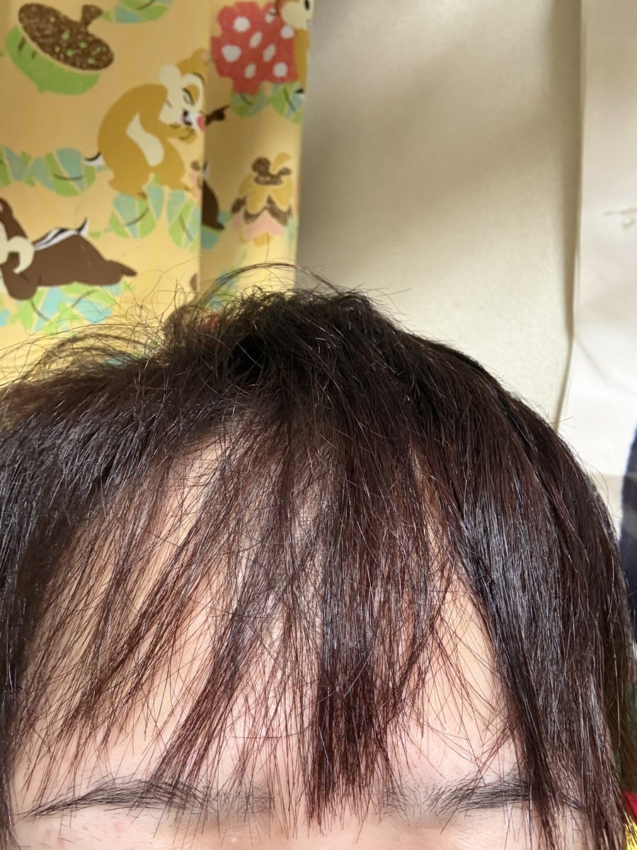 Koiking22422's tweet photo. 昨日美容院行きました。
平野紫耀くんみたいな赤髪を想像していたら､､､
普通の茶髪になりました。
あれ？ https://t.co/19LctXER1M