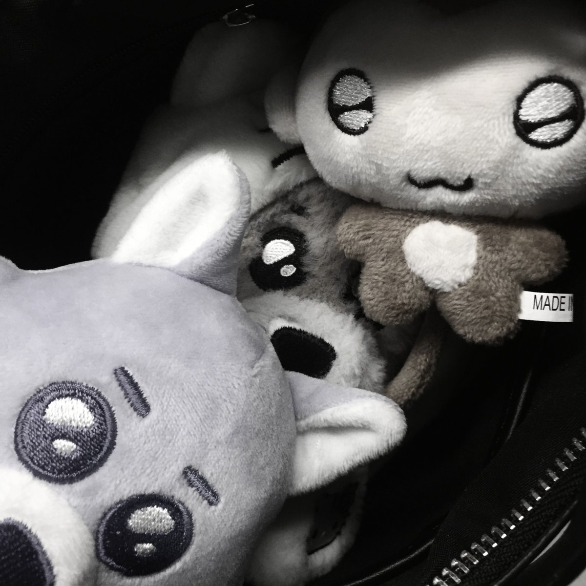 d0oi__'s tweet photo. #원도어트친소 #원도어_트친소

친해지면 선물 많이주는 명여자랑 친해질 사람 ❣ https://t.co/01no2Wqqu4