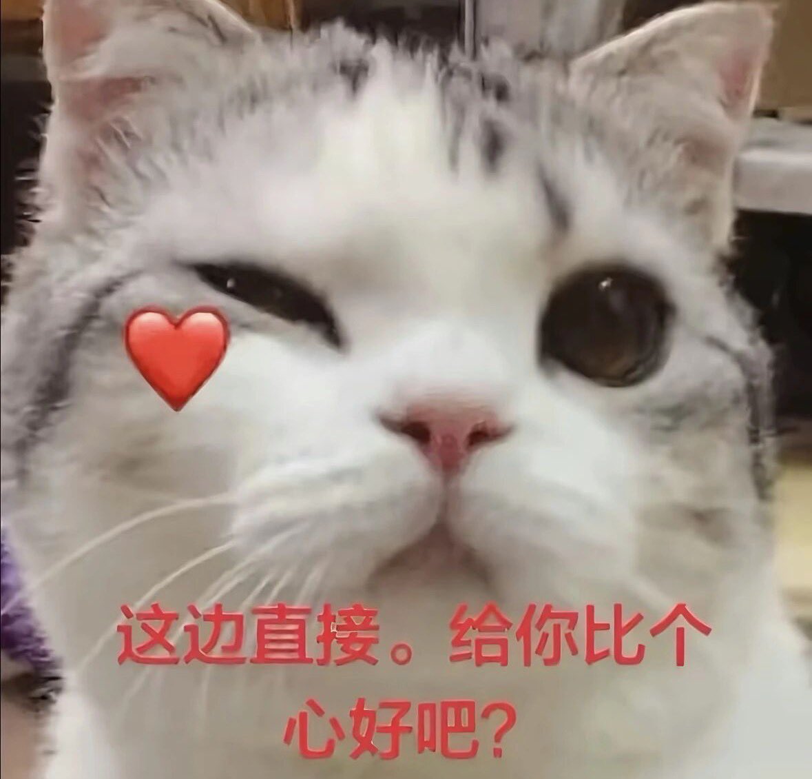 arpeggioxcbg's tweet photo. @neilyeddie76792 每次打开推特都要被萌一大跳！ https://t.co/NXLenoV5UC